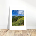 High-quality framed art print of Malibu Canyon in spring bloom with wildflowers, California poster art by My Store in a white frame.