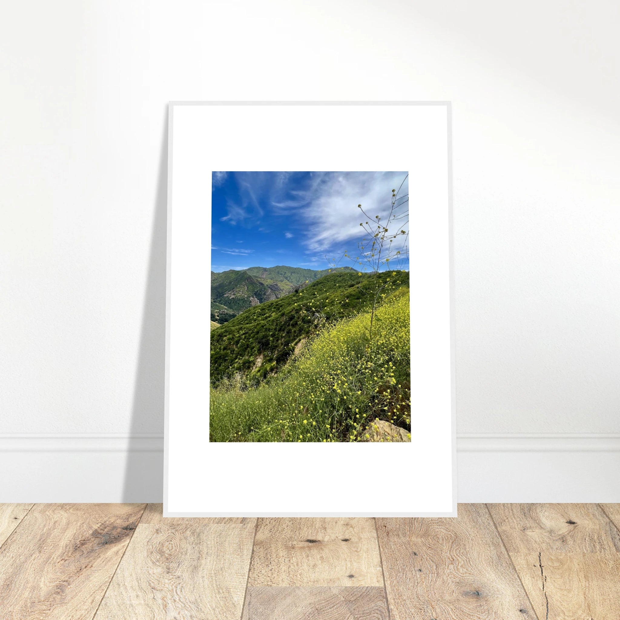 High-quality framed art print of Malibu Canyon in spring bloom with wildflowers, California poster art by My Store in a white frame.
