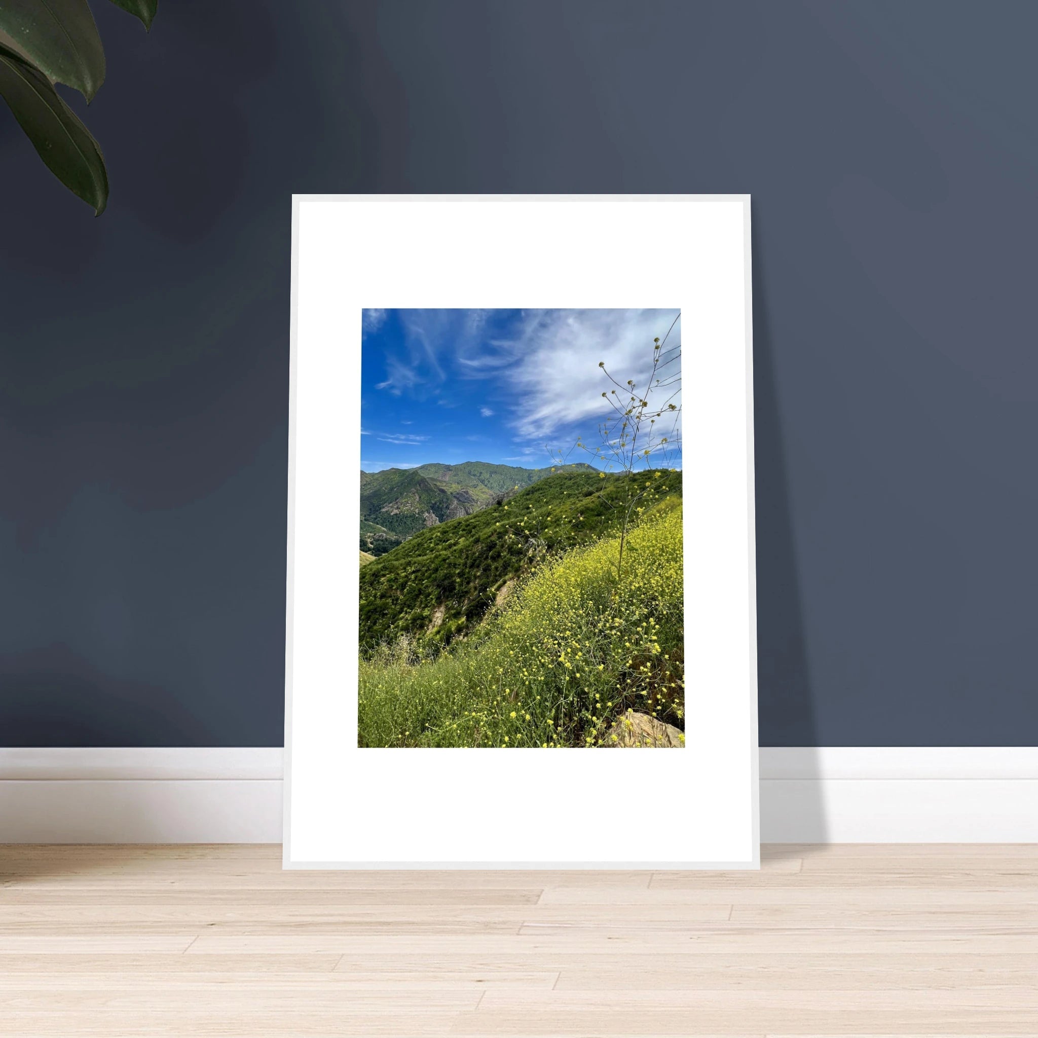 High-quality framed art print of Malibu Canyon in spring bloom with wildflowers, featuring California poster art by My Store.
