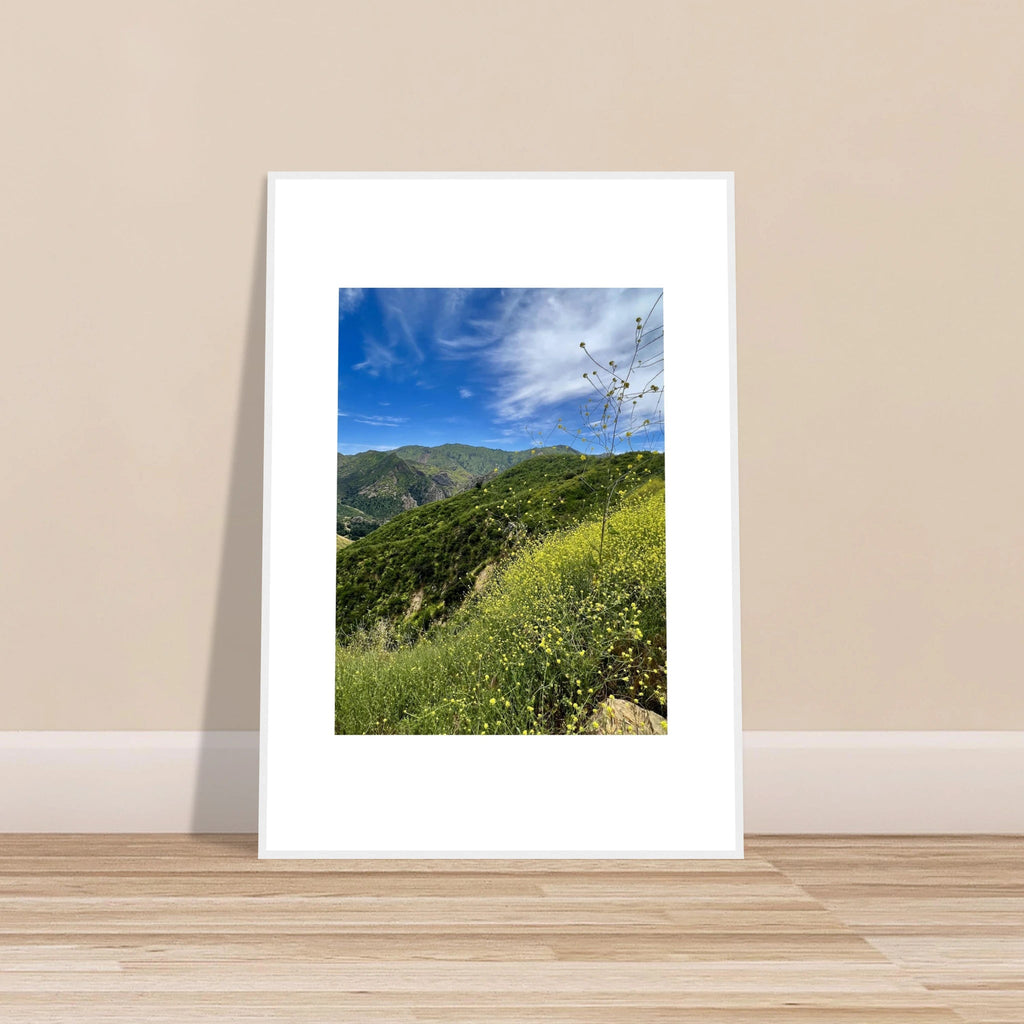 High-quality art print of Malibu Canyon with spring wildflowers, framed in white, by My Store, showcasing California scenery.