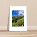 High-quality art print of Malibu Canyon with spring wildflowers, framed in white, by My Store, showcasing California scenery.