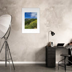 High-quality framed art print of Malibu Canyon in spring bloom wildflowers, California poster art by My Store, 15x20 cm.