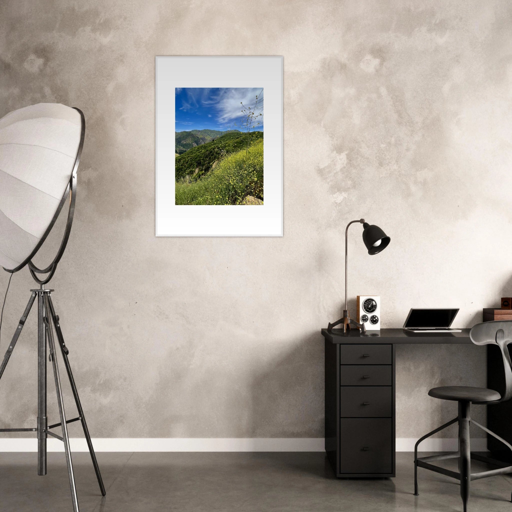 High-quality framed art print of Malibu Canyon in spring bloom wildflowers, California poster art by My Store, 15x20 cm.