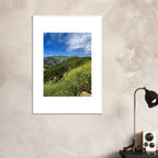 High-quality framed art print of Malibu Canyon in spring bloom wildflowers, showcasing California poster art in a white frame.