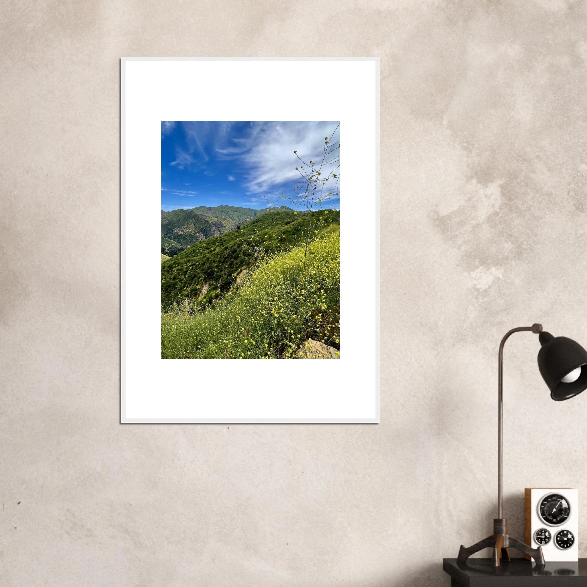 High-quality framed art print of Malibu Canyon in spring bloom wildflowers, showcasing California poster art in a white frame.