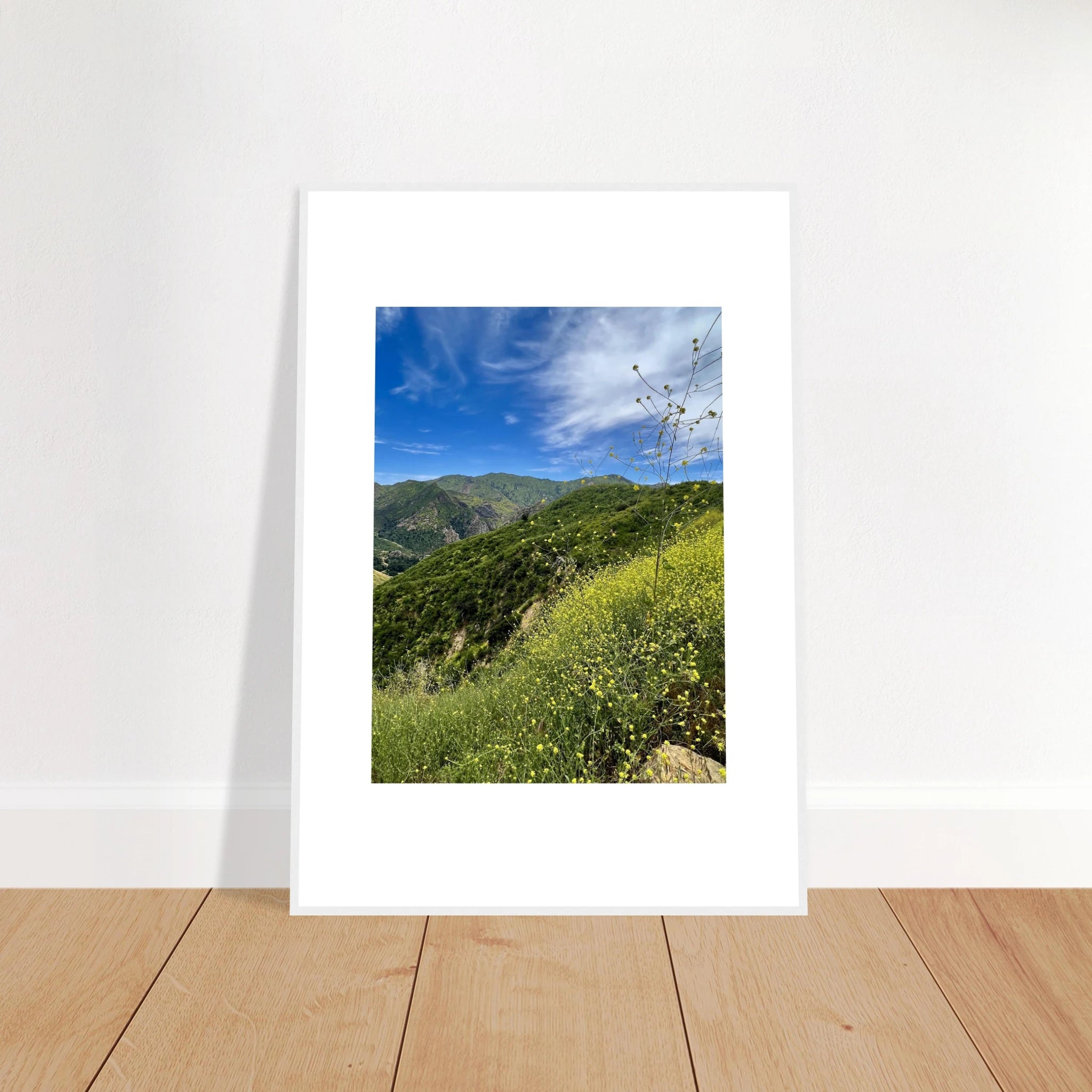 High-quality art print of Malibu Canyon in spring bloom wildflowers, framed poster with white frame, California landscape artwork.