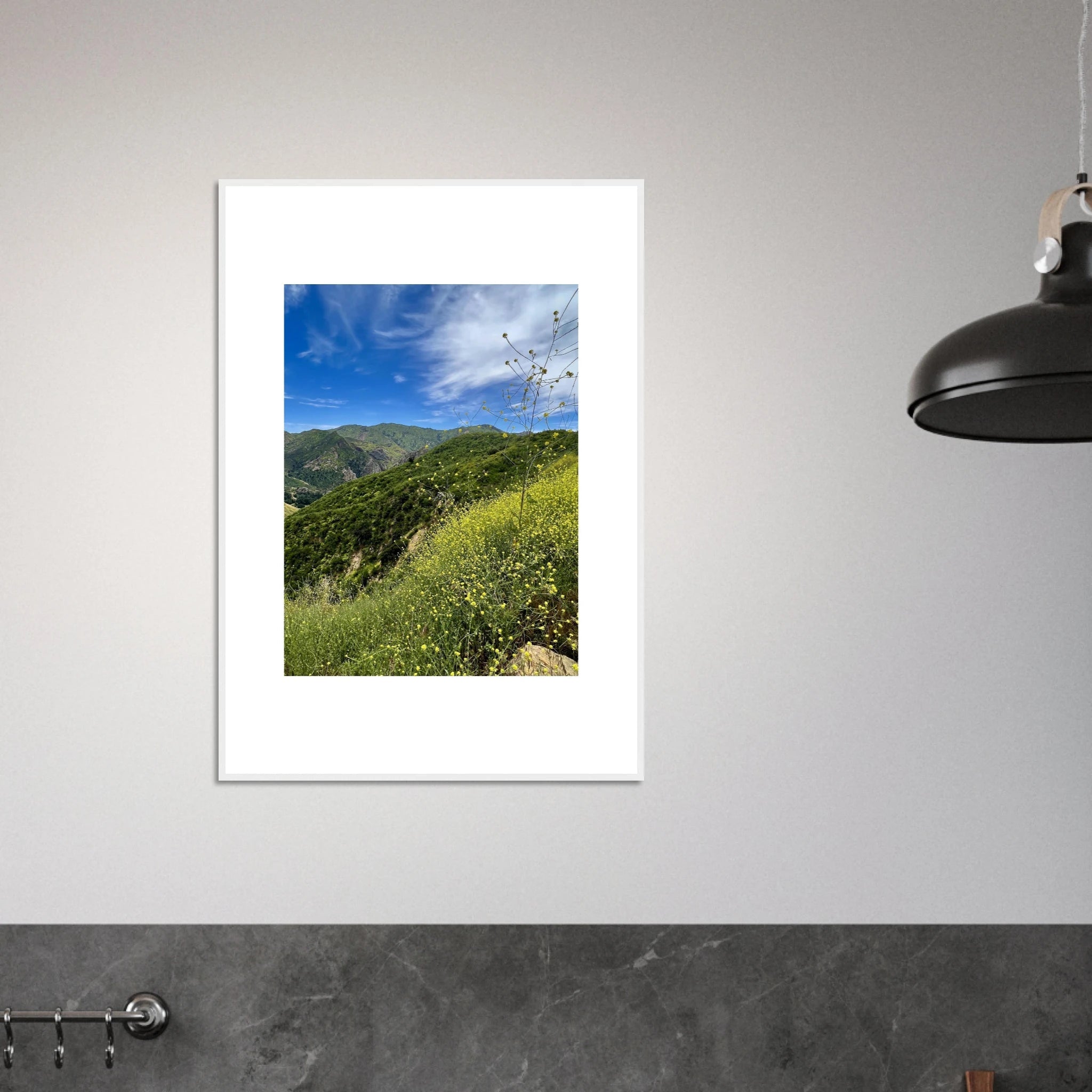 High-quality framed art print of Malibu Canyon in spring bloom wildflowers, California poster art by My Store, 15x20 cm.