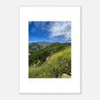 High-quality framed art print of Malibu Canyon with spring wildflowers, featuring vibrant California scenery in a white frame.