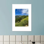 High-quality framed art print of Malibu Canyon in spring bloom with wildflowers, California poster art by My Store in a white frame.