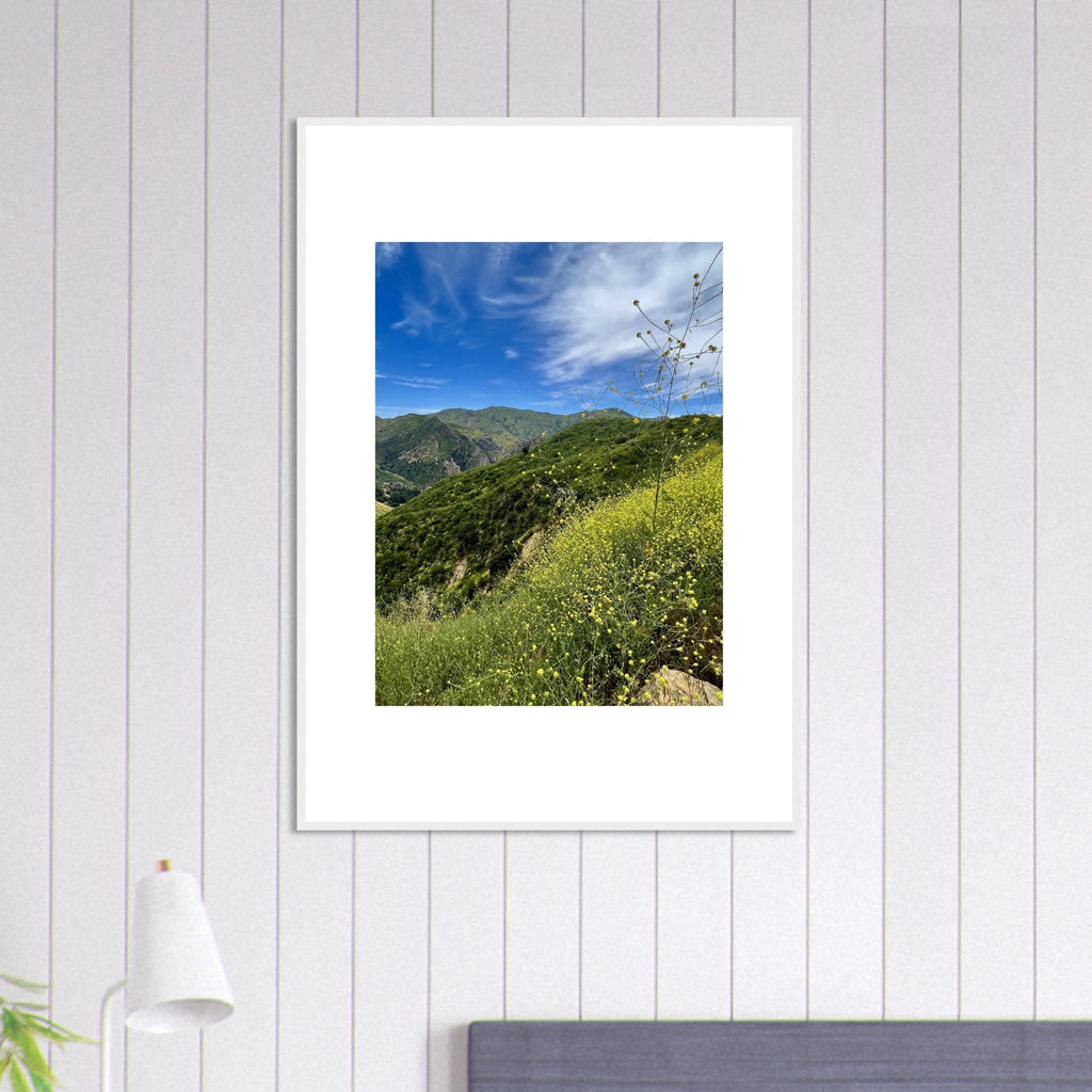 High-quality framed art print of Malibu Canyon in spring bloom wildflowers, featuring California landscape and white frame.
