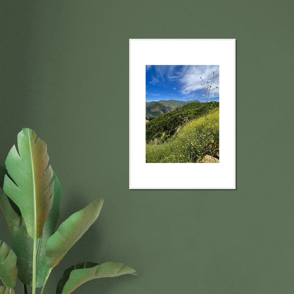 High-quality framed art print of Malibu Canyon in spring bloom wildflowers, showcasing California poster art by My Store.