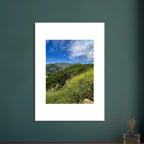 High-quality framed art print of Malibu Canyon in spring bloom wildflowers, featuring California scenery and studio edition design.