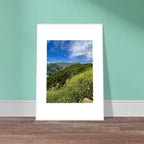 High-quality framed art print of Malibu Canyon in spring bloom wildflowers, showcasing vibrant California poster art in a white frame.
