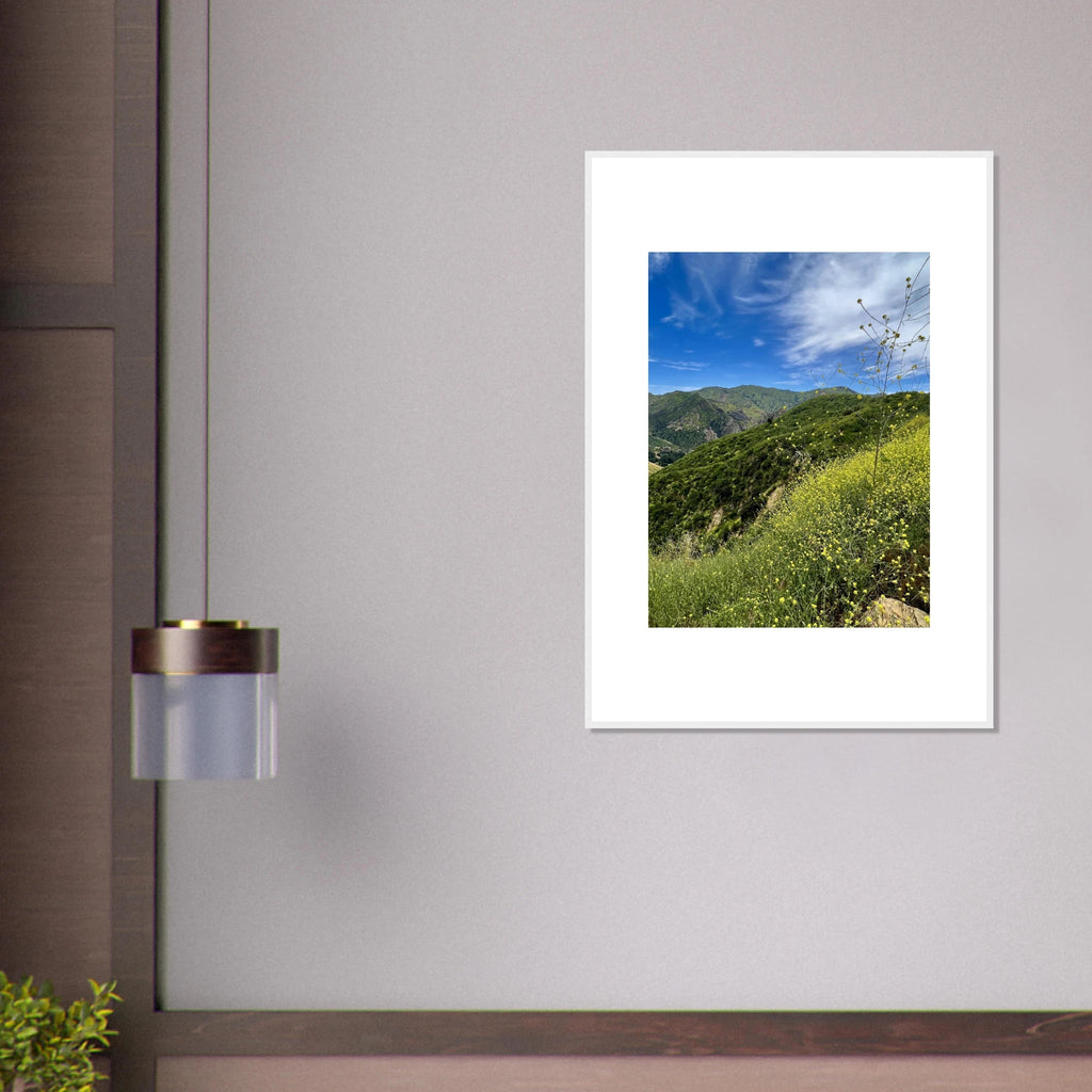 High-quality framed art print of Malibu Canyon in spring bloom wildflowers, California poster art by My Store in a white frame.