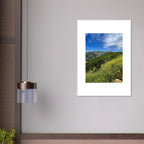 High-quality framed art print of Malibu Canyon in spring bloom wildflowers, California poster art by My Store in a white frame.
