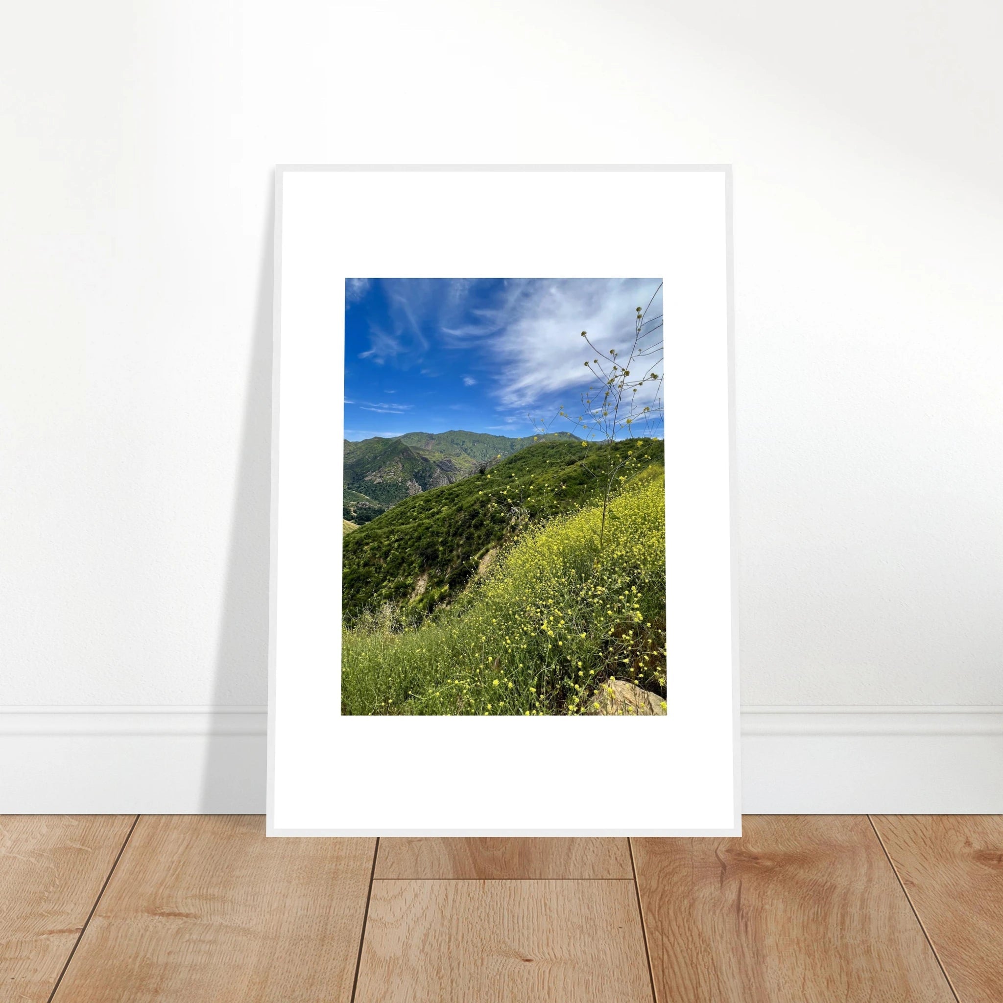 High-quality framed art print of Malibu Canyon in spring bloom wildflowers, featuring California poster art by My Store.
