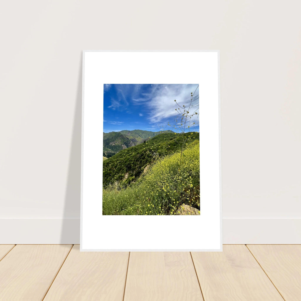 High-quality framed art print of Malibu Canyon in spring bloom wildflowers by My Store, 15x20 cm, featuring California poster art.