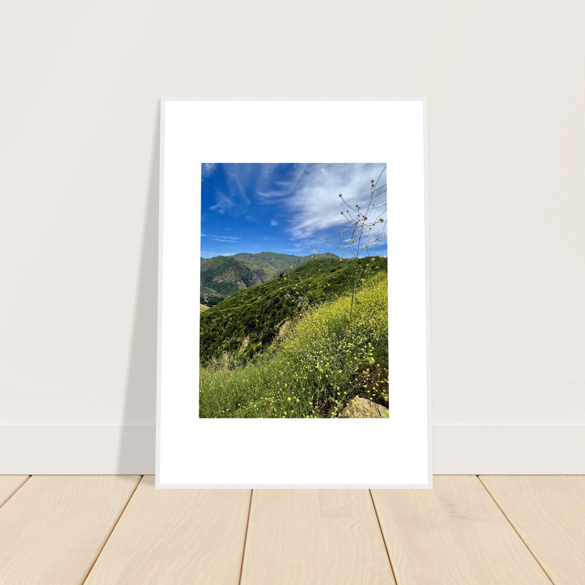 High-quality framed art print of Malibu Canyon in spring bloom wildflowers by My Store, 15x20 cm, featuring California poster art.