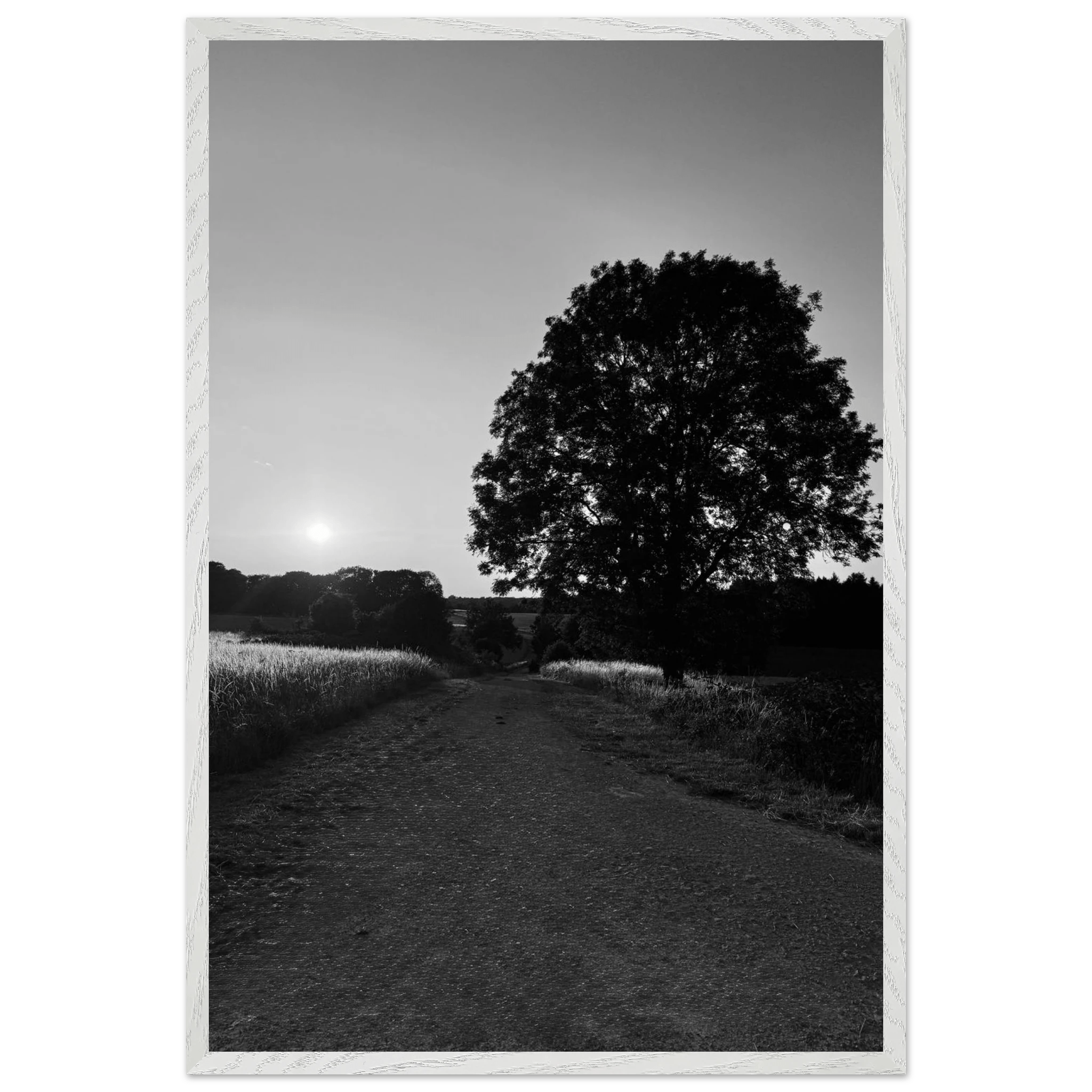 Mounted wooden framed poster of summer in the English countryside Cotswolds, black and white travel print, Studio Edition.