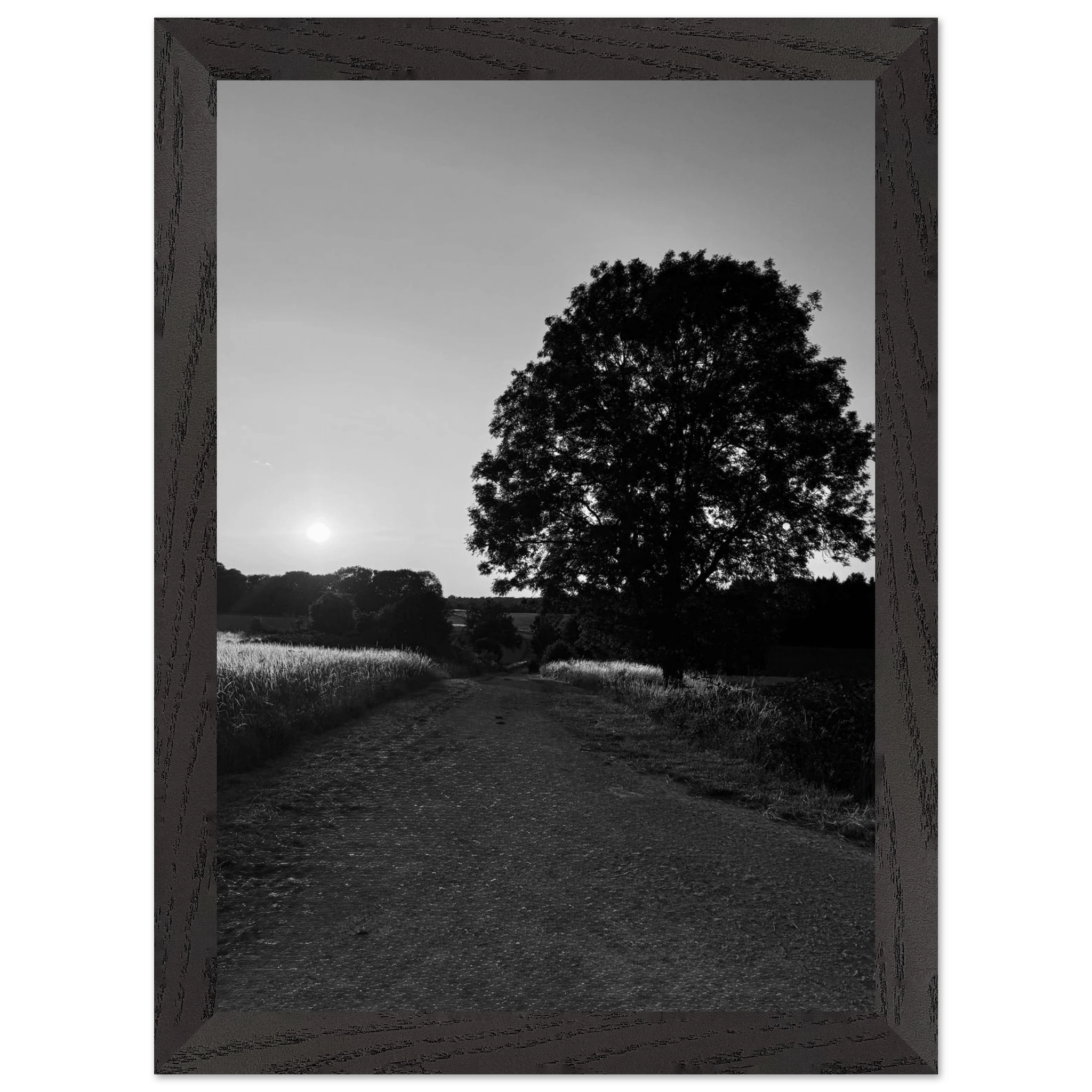 Mounted wooden framed poster of summer in the English Cotswolds, black and white travel print from the Studio Edition collection.