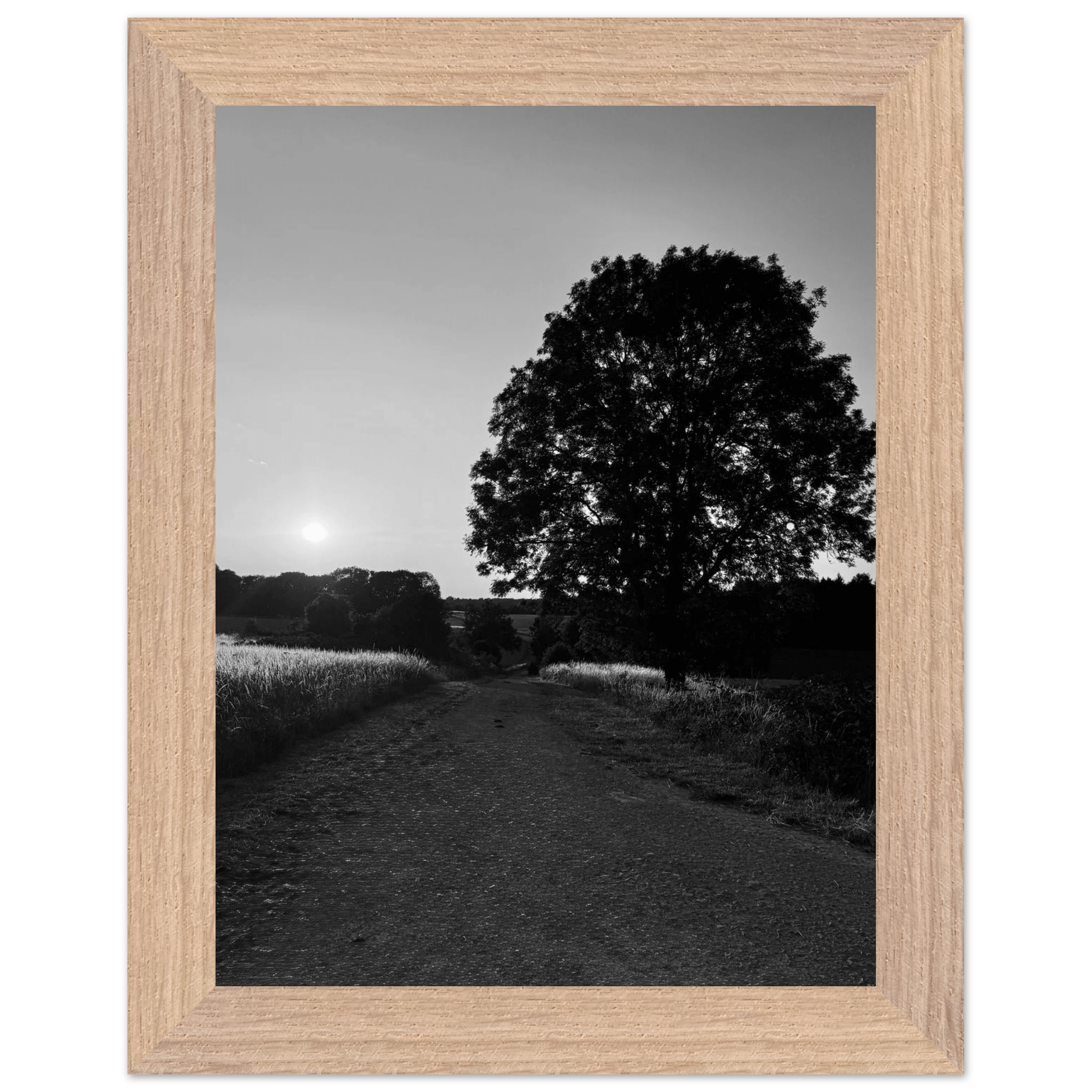 Mounted wooden framed poster of summer in the English Cotswolds, black and white travel print from the Studio Edition collection.