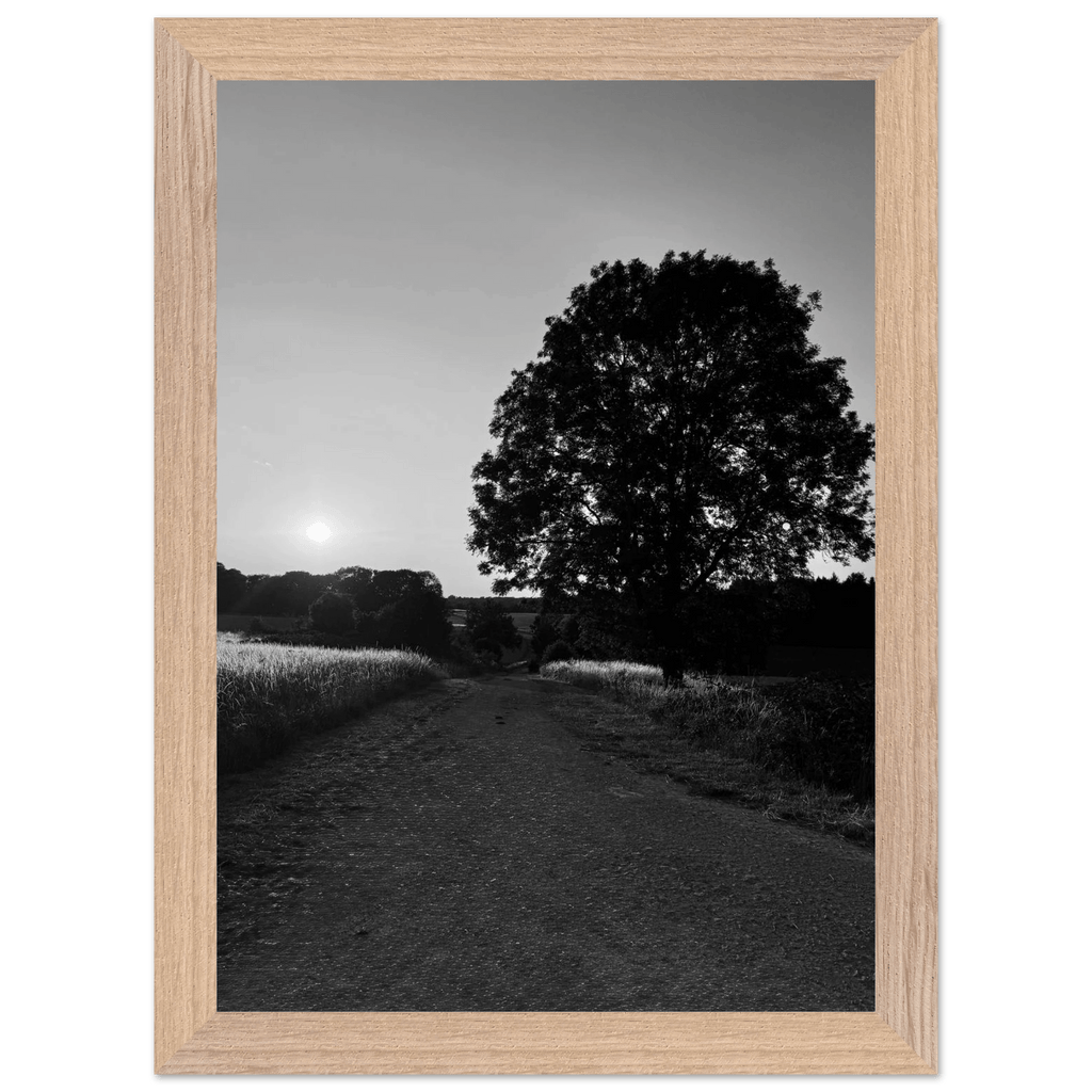 Black and white framed poster of the Cotswolds summer countryside, mounted on wood with a 15x20 cm print, part of the English travel collection.