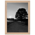 Black and white framed poster of the Cotswolds summer countryside, mounted on wood with a 15x20 cm print, part of the English travel collection.