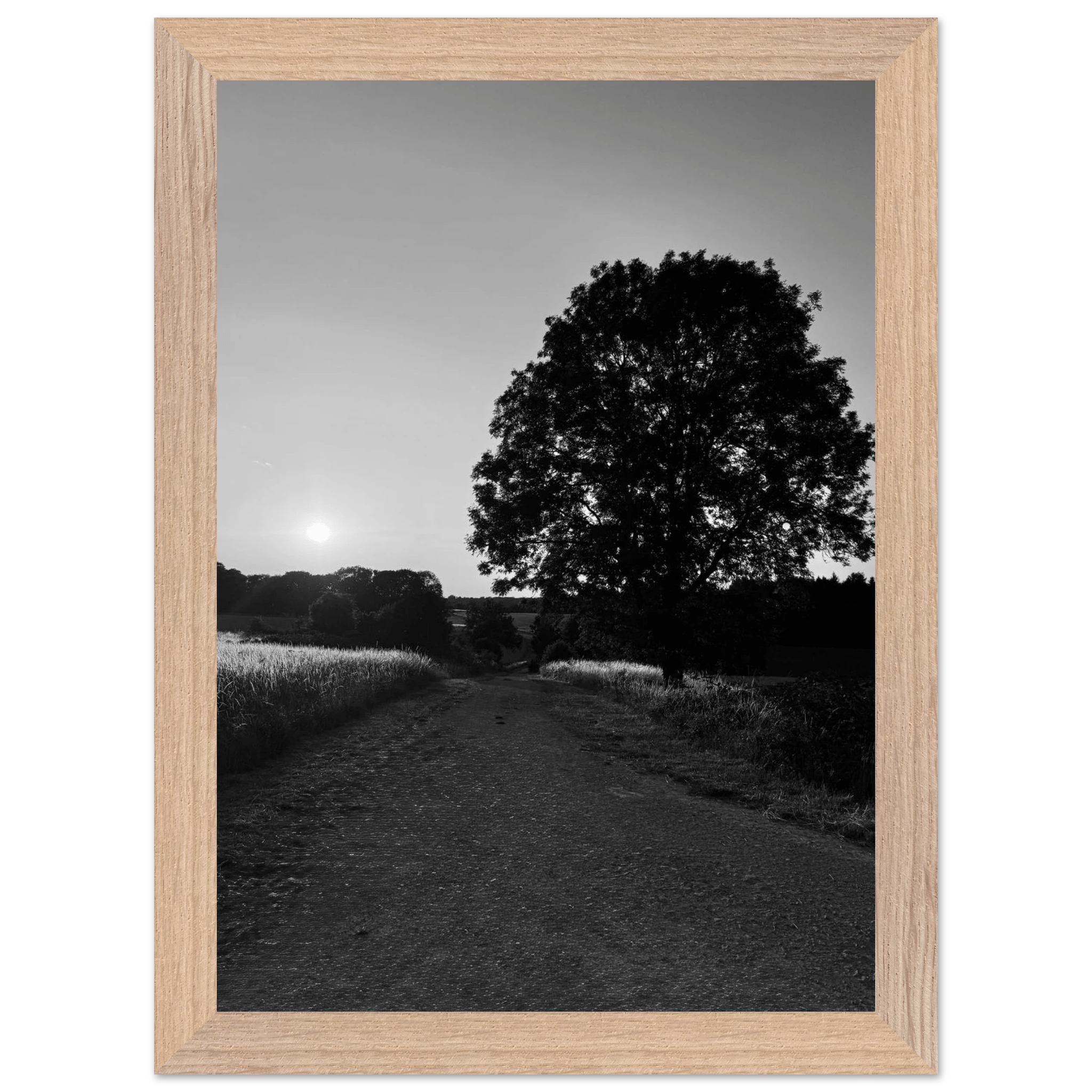 Mounted wooden framed poster of summer in the English countryside Cotswolds, black and white travel print from My Store's Studio Edition.