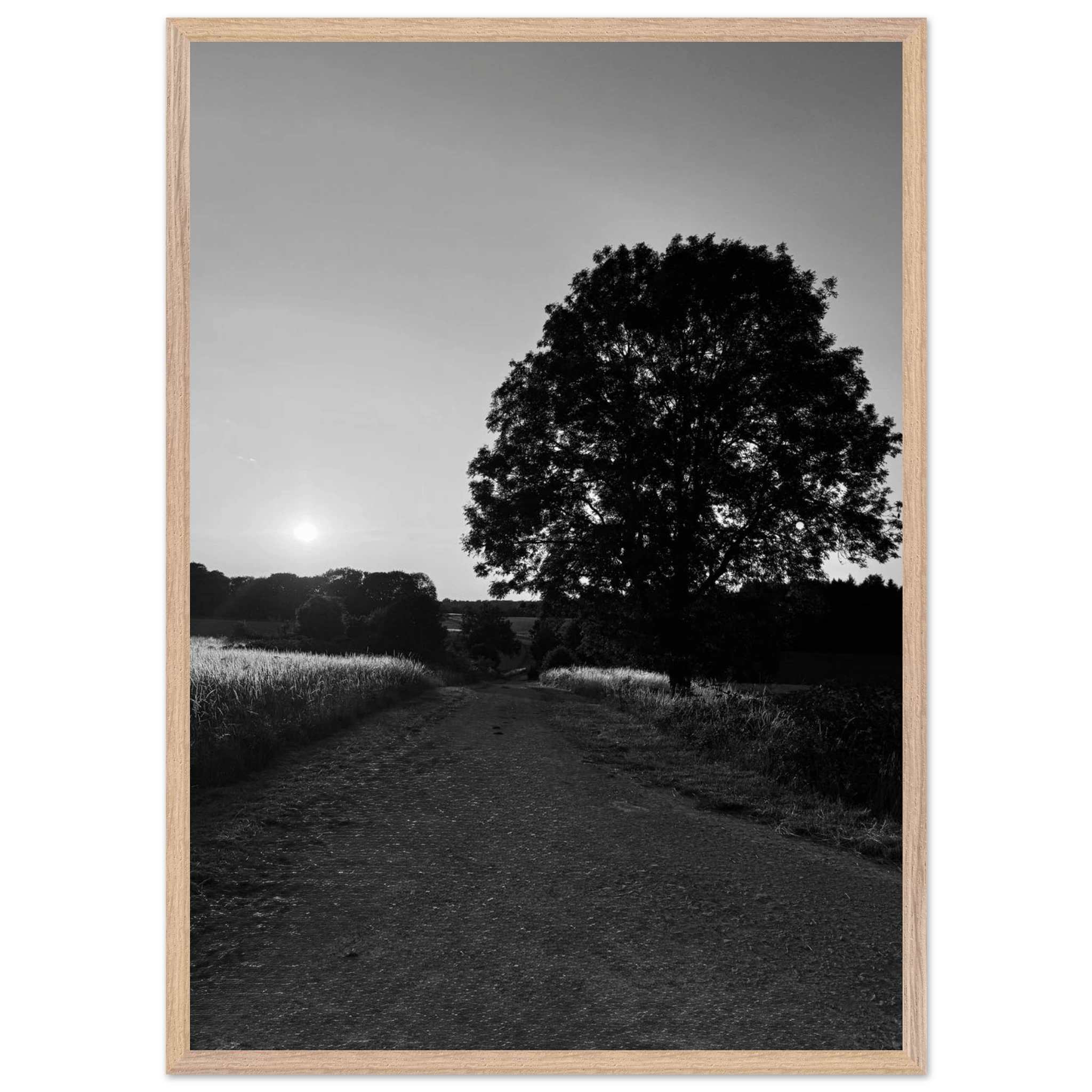 Mounted wooden framed poster of summer in the English Cotswolds, black and white travel print from the Studio Edition collection.