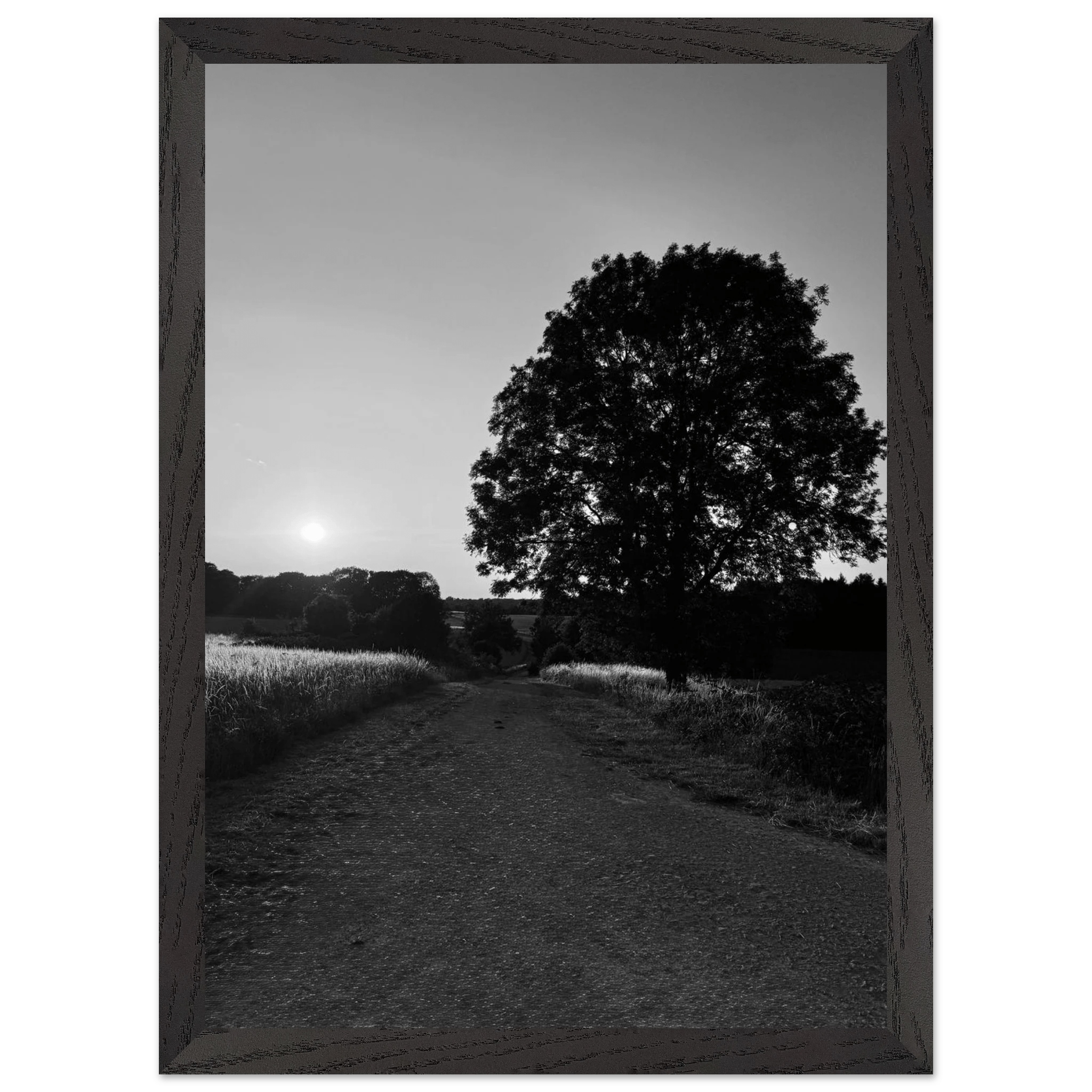 Mounted wooden framed poster of summer in the English Cotswolds, black and white travel print from the Studio Edition collection.