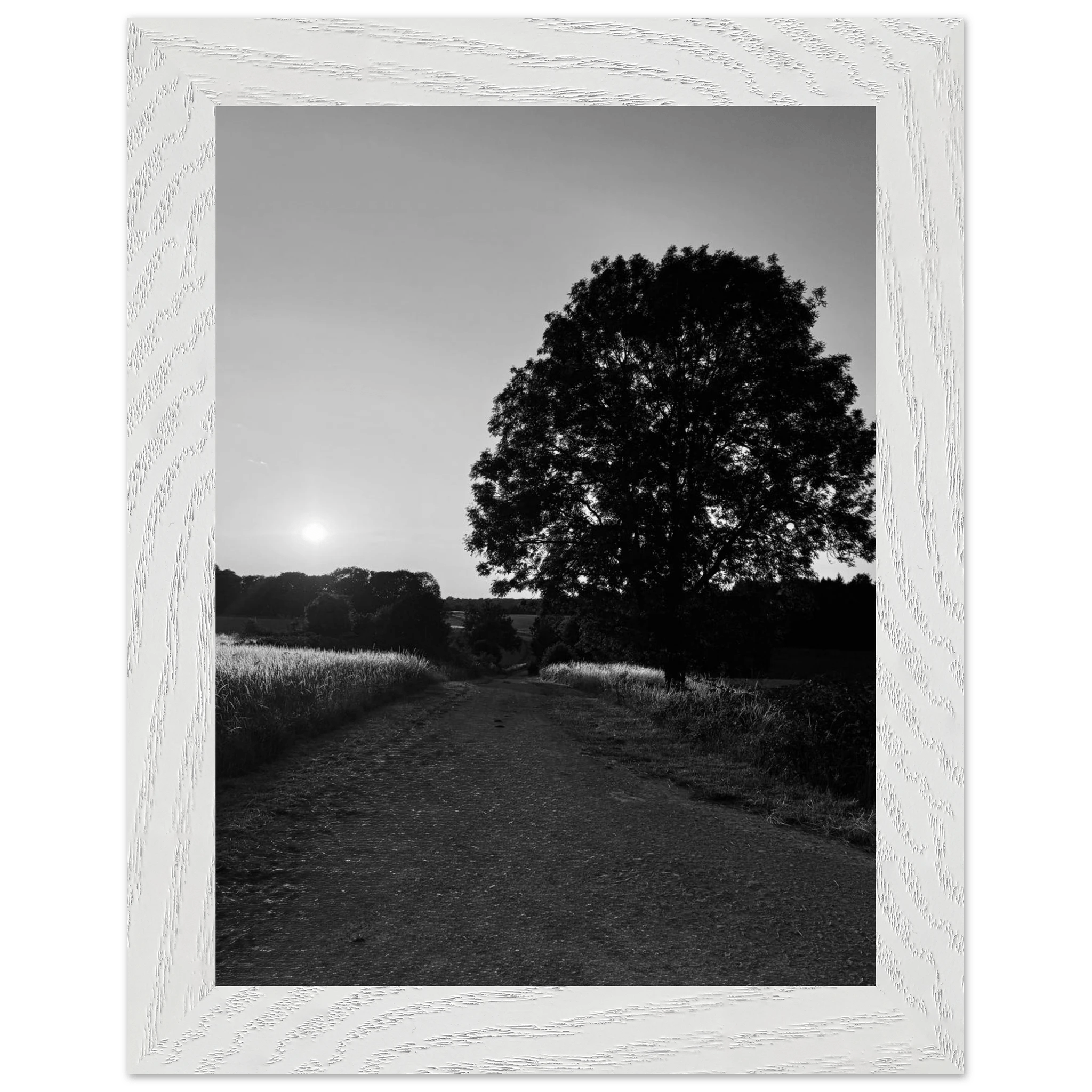 Mounted wooden framed print of summer in the English countryside Cotswolds, black and white travel collection artwork.
