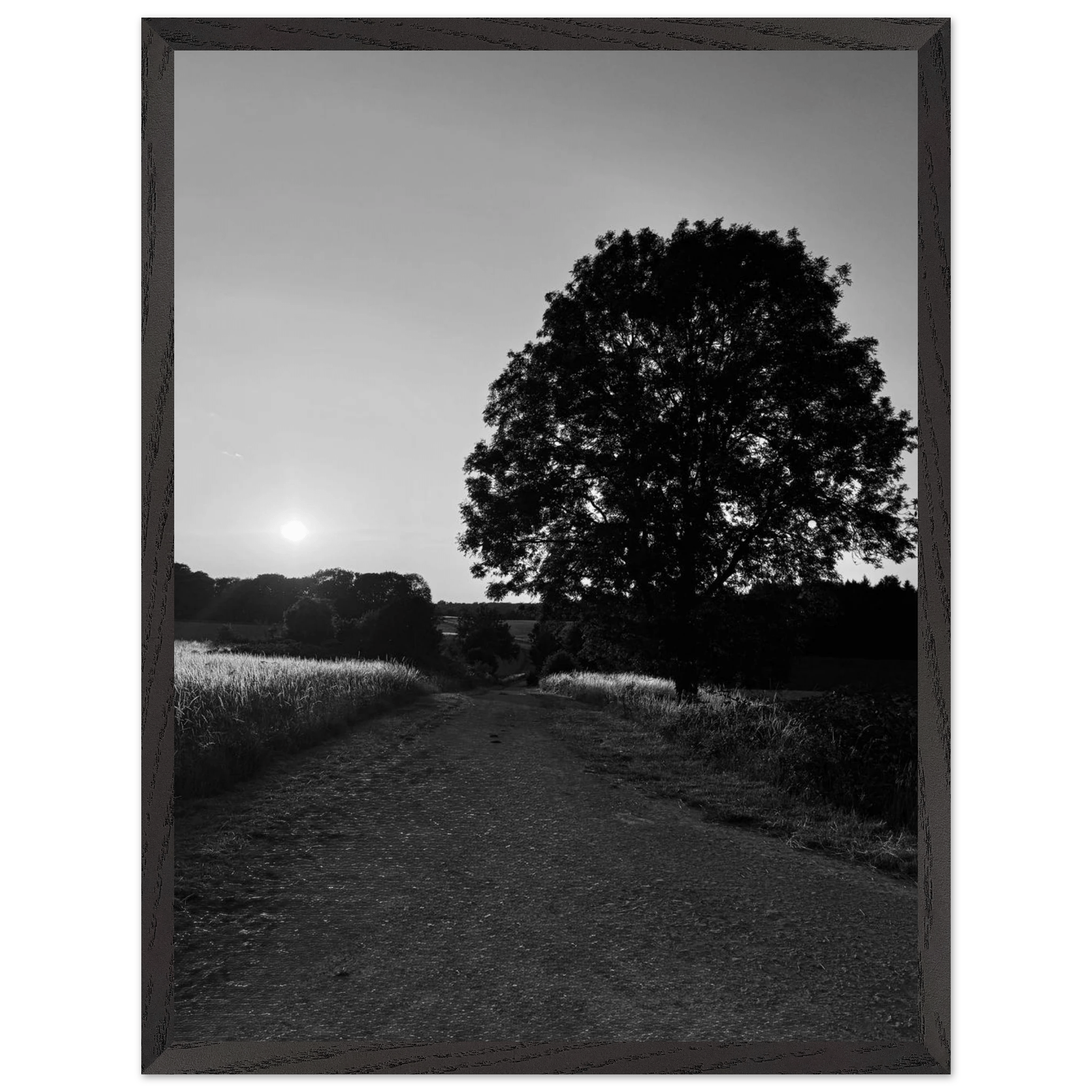 Mounted wooden framed poster of summer in the English Cotswolds, black and white travel print from the Studio Edition collection.