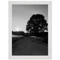 Black and white Cotswolds summer countryside framed poster, mounted on wood, featuring scenic English landscape wall art.