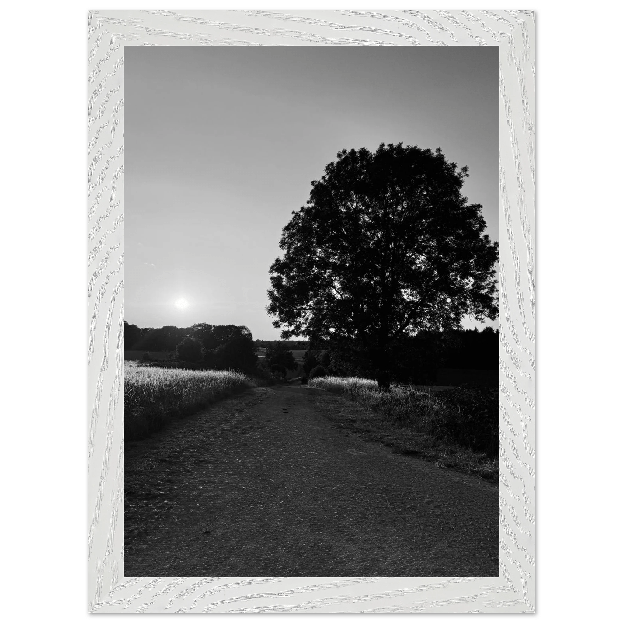 Mounted wooden framed print of a summer scene in the English Cotswolds, black and white travel poster from the Studio Edition collection.