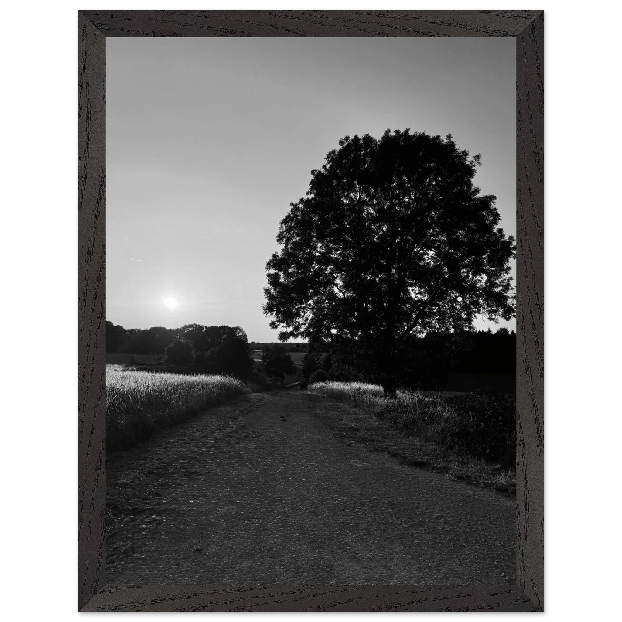 Mounted wooden framed poster of summer in the English Cotswolds, black and white travel print from the Studio Edition collection.