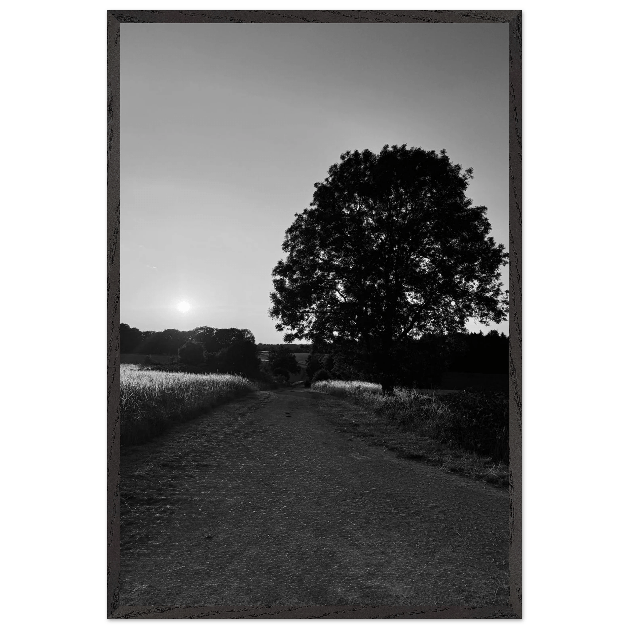 Mounted wooden framed poster of summer in the English Cotswolds, black and white travel print from My Store's studio edition collection.