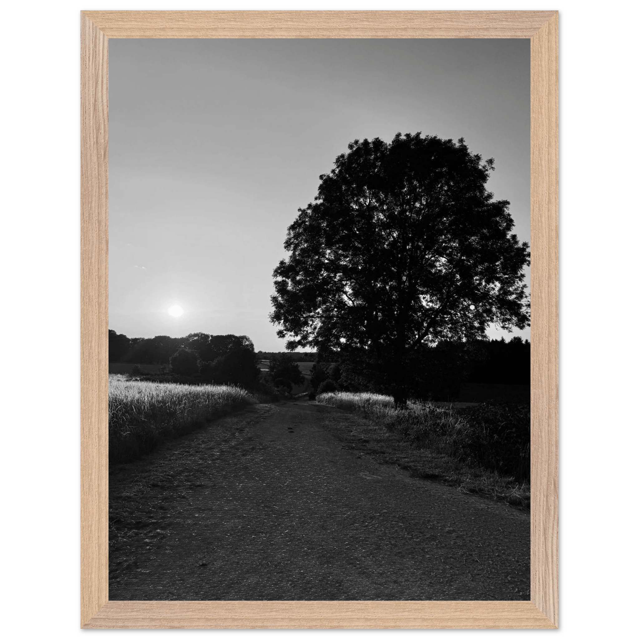 Mounted wooden framed poster of summer in the English Cotswolds, black and white print from the Travel Collection.