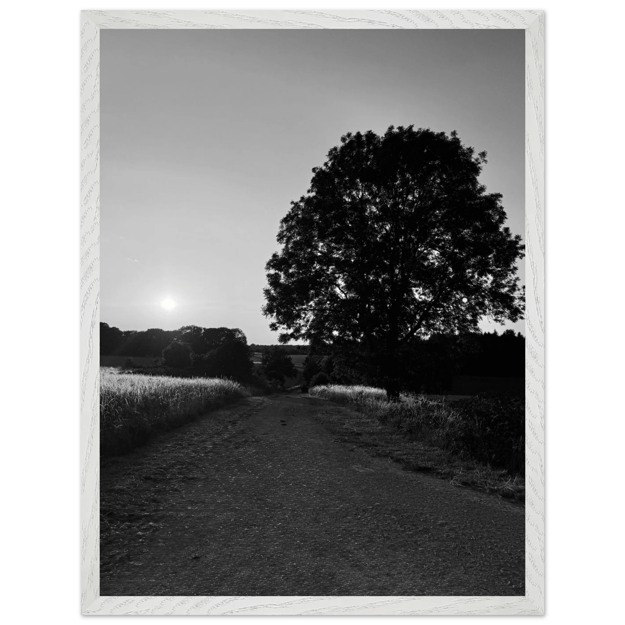 Mounted wooden framed poster of summer in the English Cotswolds, black and white travel print from the Studio Edition collection.