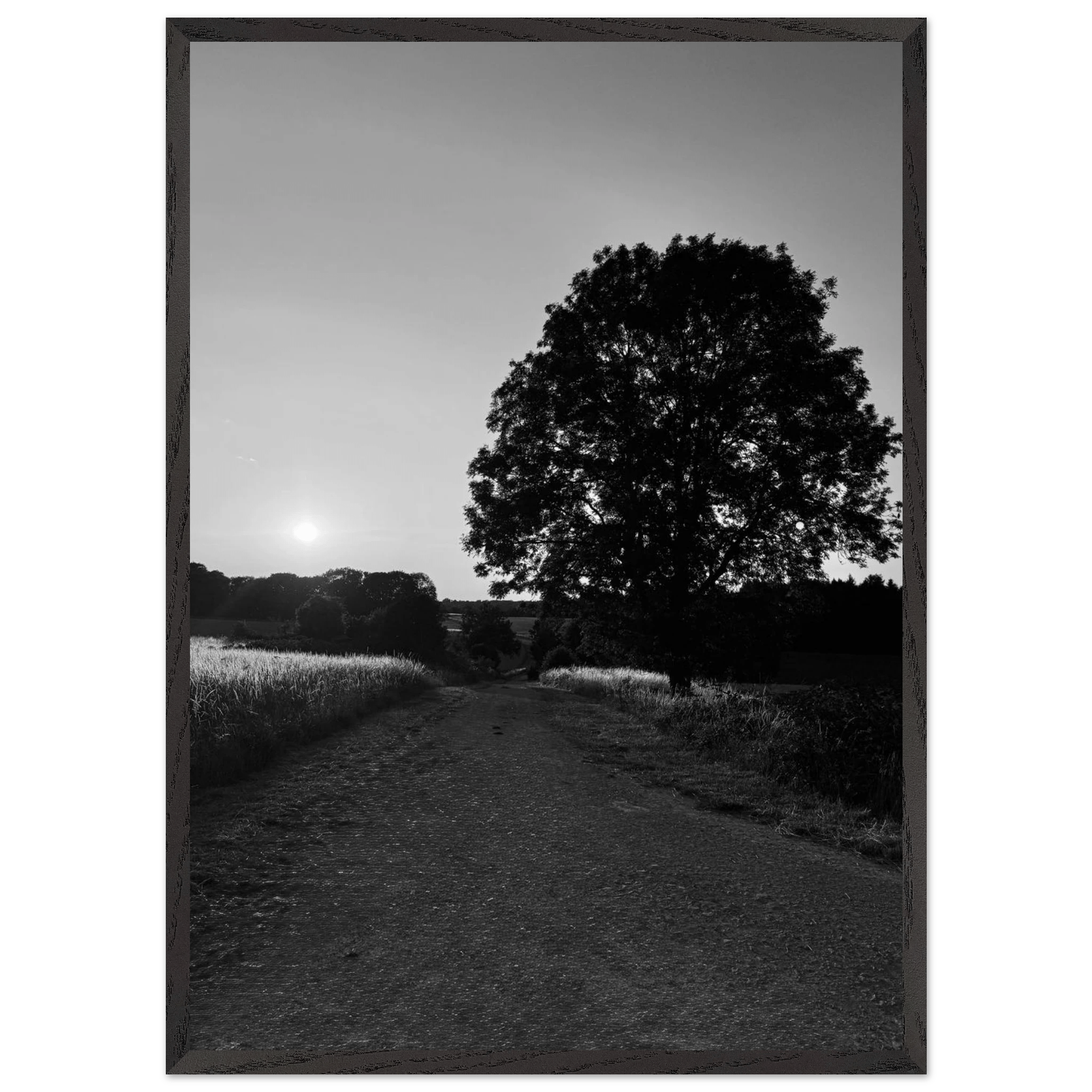 Mounted wooden framed poster of summer in the English countryside Cotswolds, black and white travel print from My Store's collection.