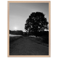 Black and white framed poster of the Cotswolds summer countryside, mounted on wood, featuring classic English landscape art.