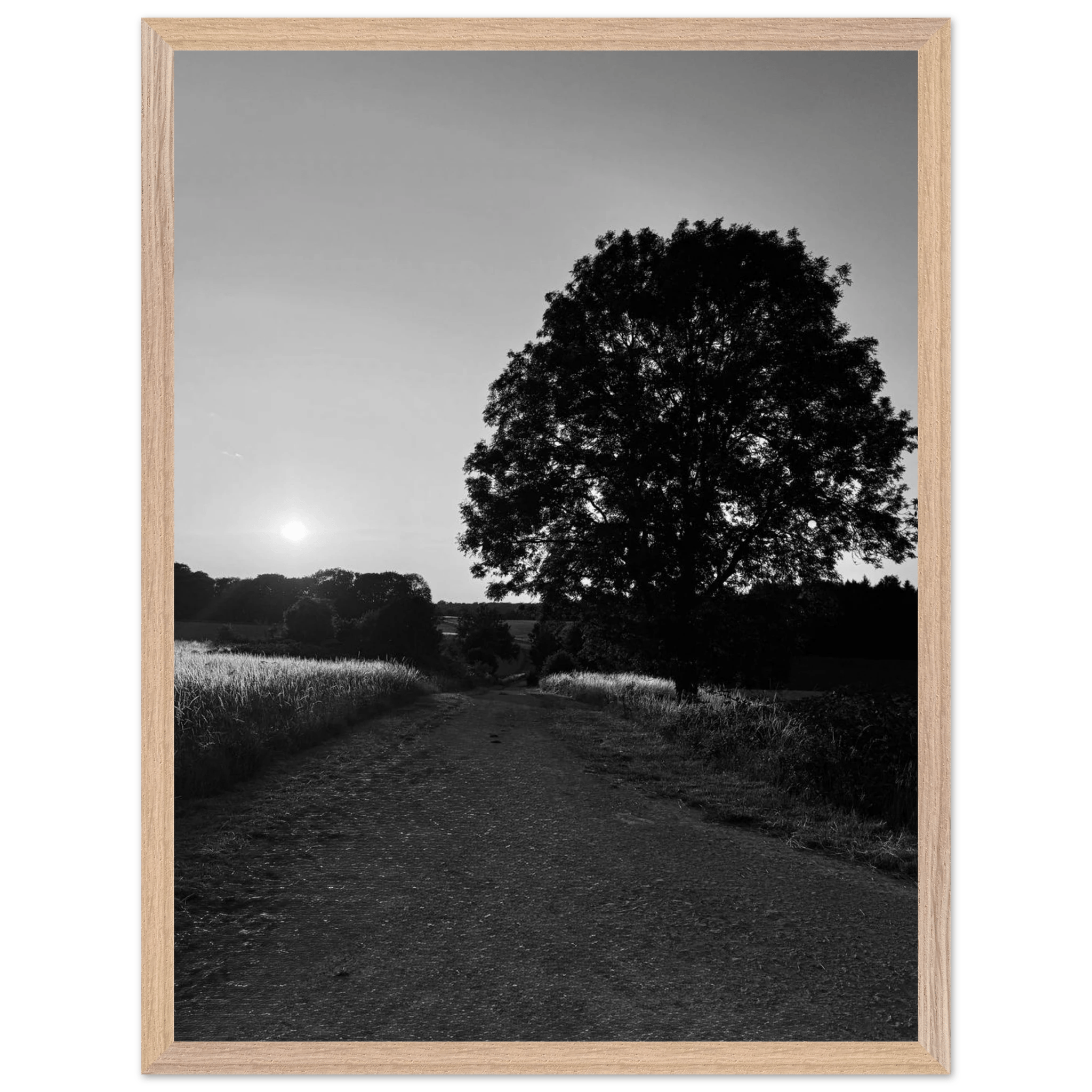 Mounted wooden framed poster of summer in the English Cotswolds, black and white travel print from the Studio Edition collection.