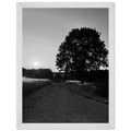 Black and white framed poster of the Cotswolds summer in the English countryside, mounted on wood with a white frame.
