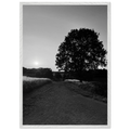 Black and white framed poster of the Cotswolds summer countryside, mounted on wood, featuring English rural scenery.