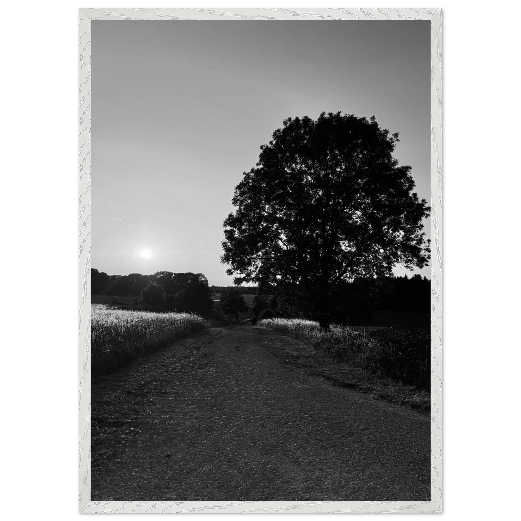 Mounted wooden framed poster of summer in the English countryside Cotswolds, black and white travel print from the Studio Edition.