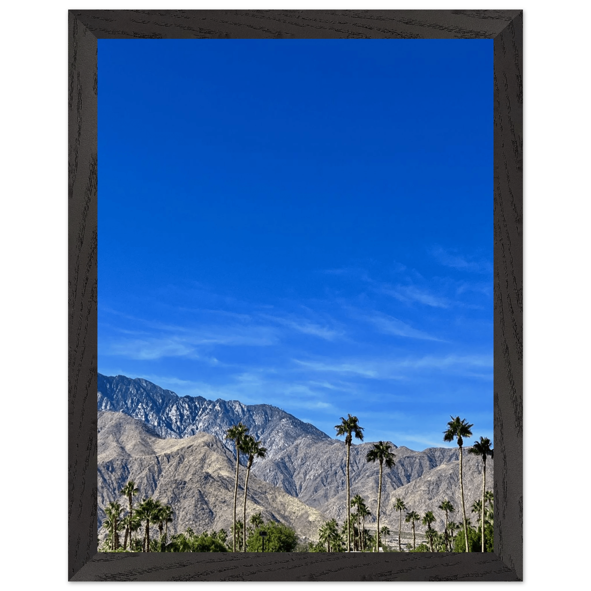 Premium wooden framed poster of a sunny fall day in Palm Springs California, featuring vibrant outdoor scenery and studio-quality art.