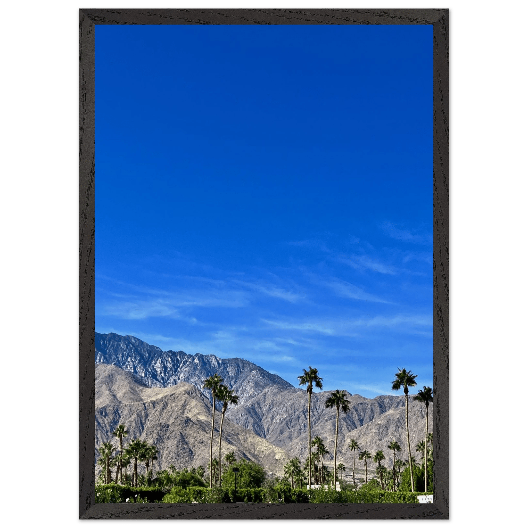 Wooden framed print of a sunny fall day in Palm Springs California, featuring vibrant autumn scenery in a chic poster art style.