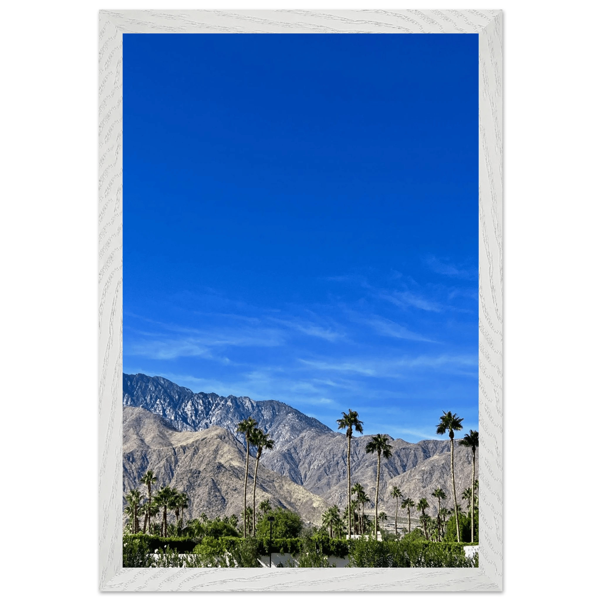 Premium wooden framed poster of a sunny fall day in Palm Springs, California, featuring vibrant outdoor scenery and colorful trees.