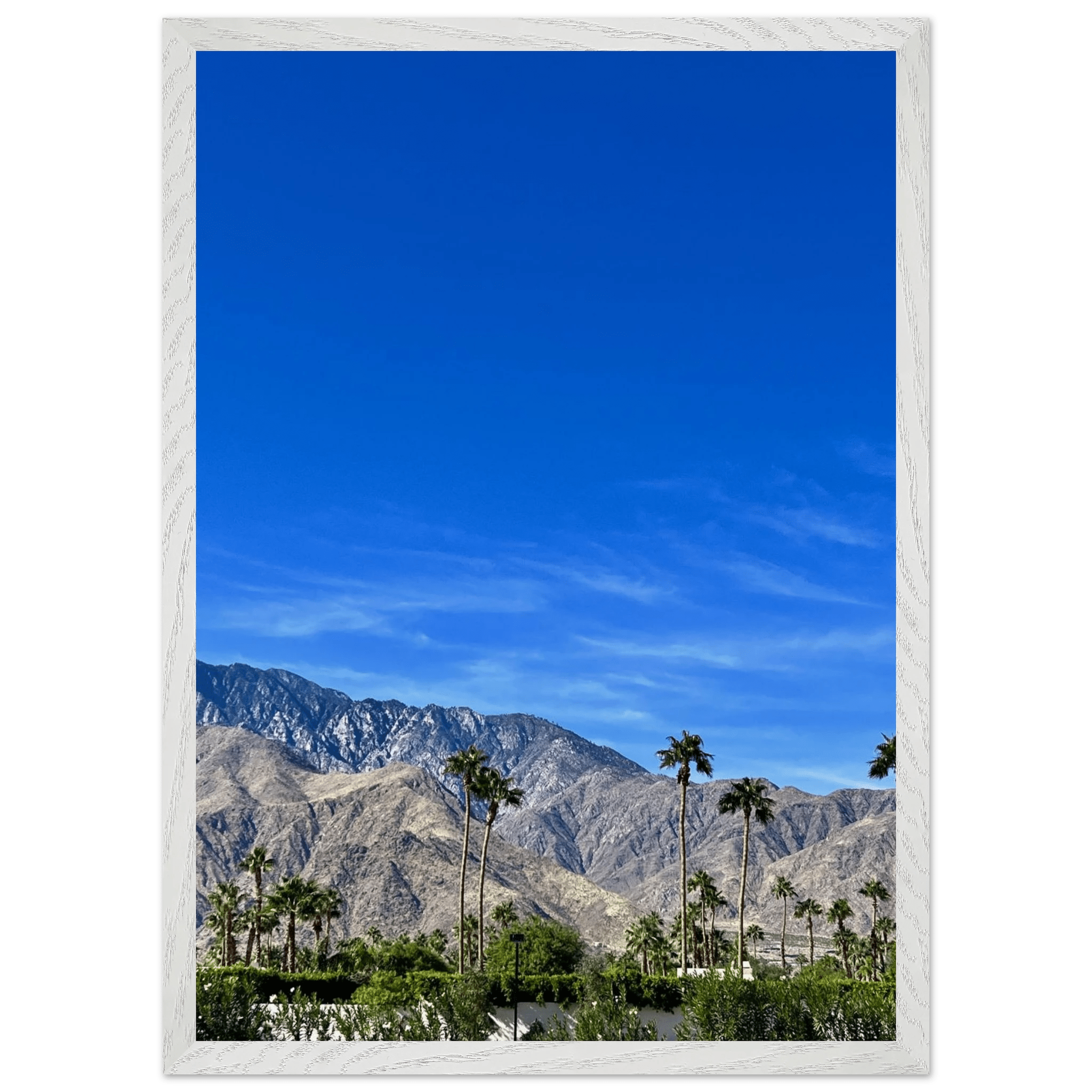 Wooden framed print of a sunny fall day in Palm Springs California, featuring vibrant outdoor scenery and autumn colors.