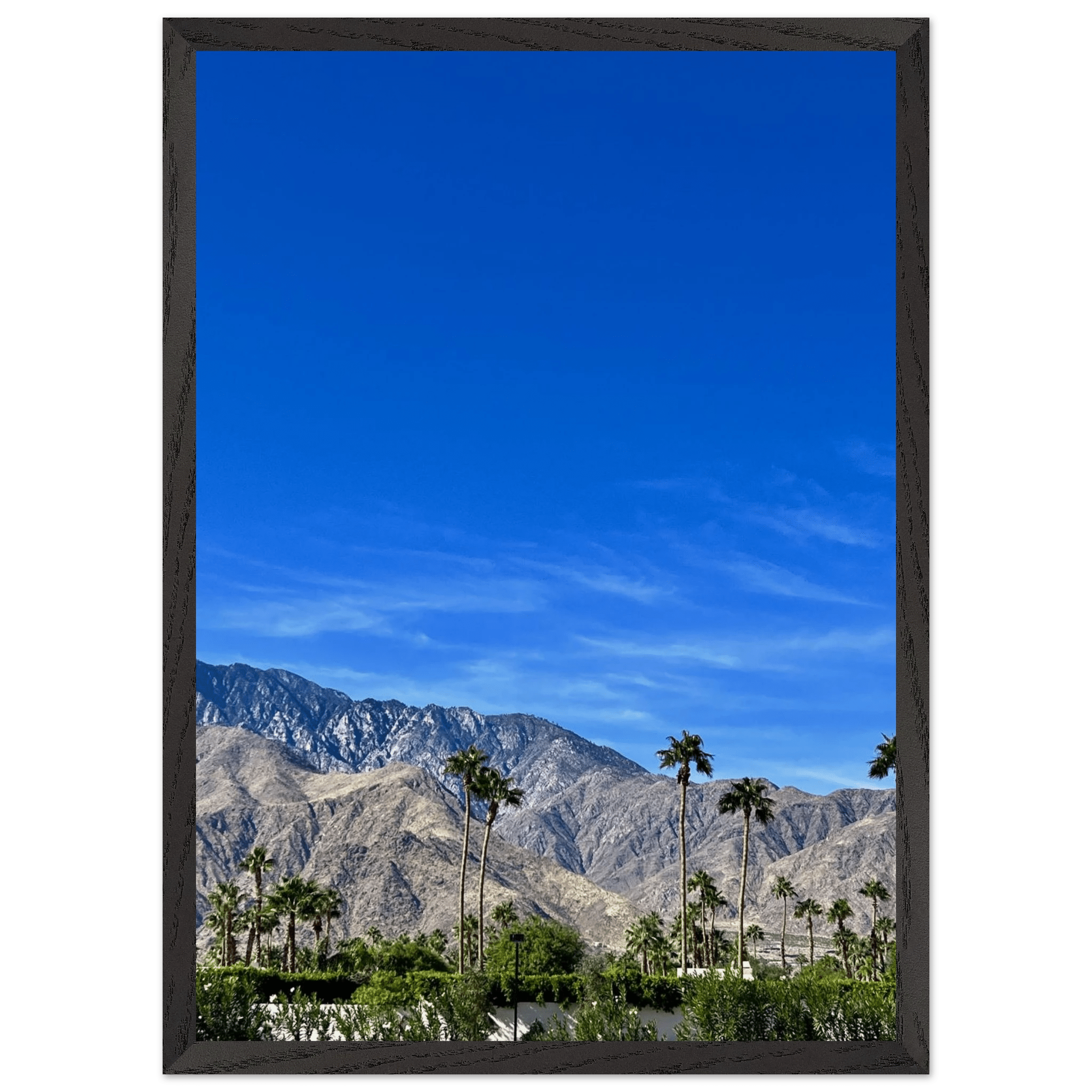 Premium wooden framed poster of a sunny fall day in Palm Springs California, featuring vibrant studio art print.