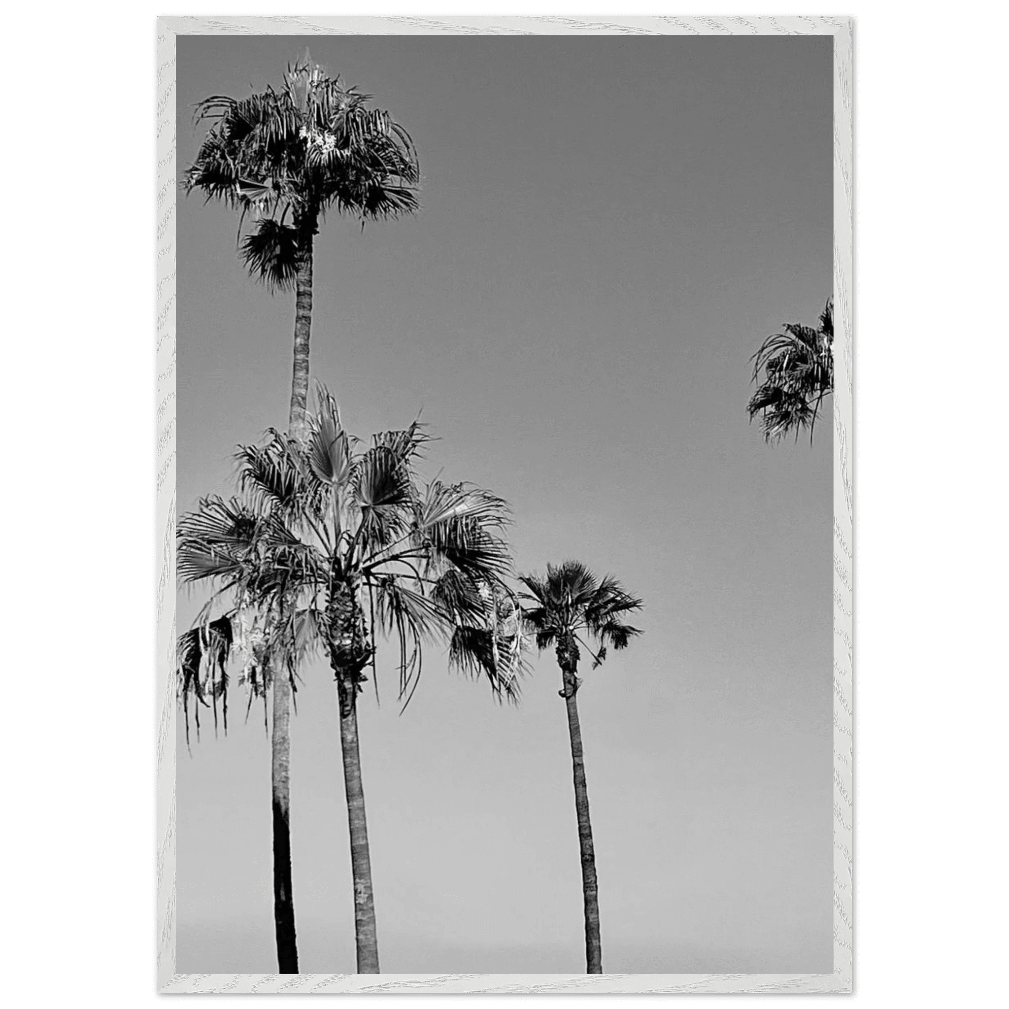 Premium wooden framed black and white California beach icons poster art in semi-glossy finish, Studio Edition.